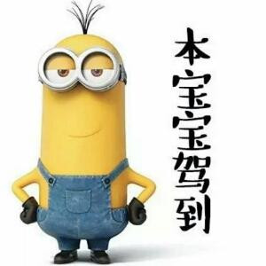何傢小寶貝