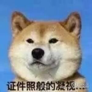 沉迷学习，无法自拔
