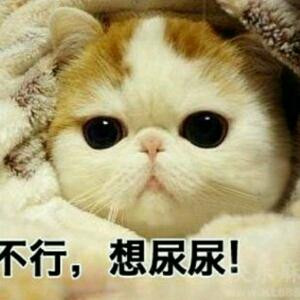苍澜玖月