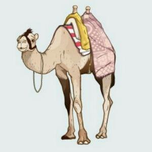 原来是骆驼
