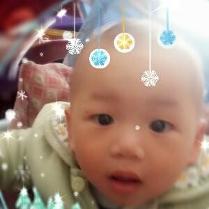 梦因执着而坚定