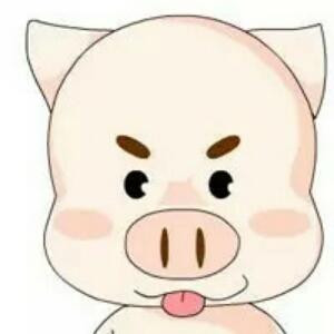 小龙