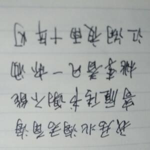 独影灼灼
