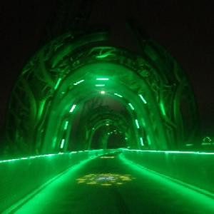 梦幻之旅