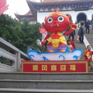 伤不起的狼