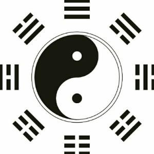 同玩lol