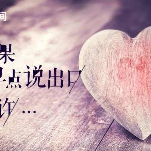 唯美盛开