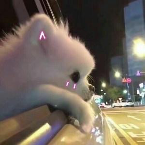 闺蜜