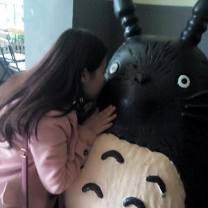 呆木猫