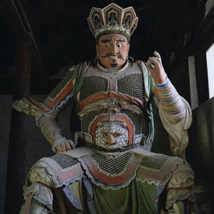 吃鱼的大虾