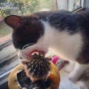 一米阳光