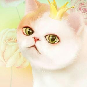 i冰雪幽兰