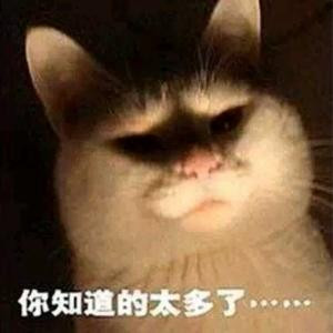 虾仁饺子