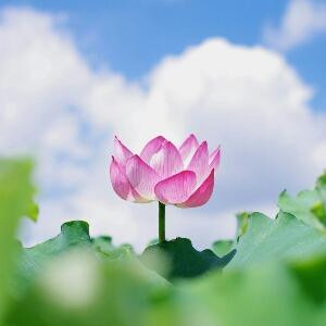润兰