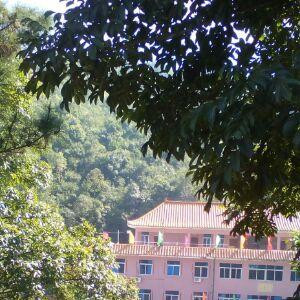 小桥流水W