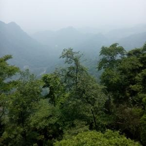 小美