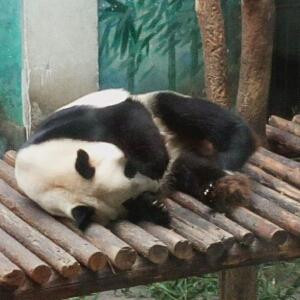 嘤咛