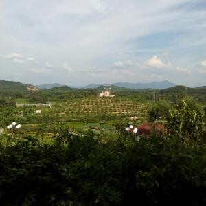 破晓黑暗
