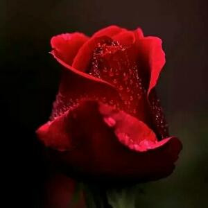 夏天的海在等你