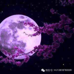 刘家大小姐