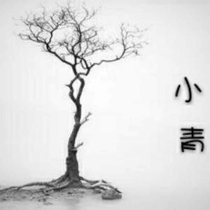 永别不要说再见