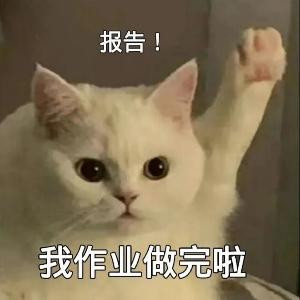 雨蝶晓艺