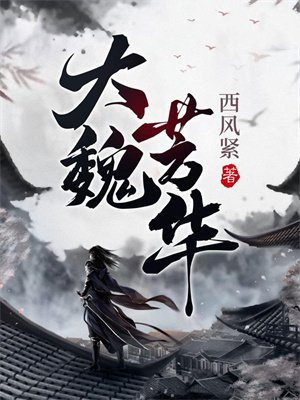 大魏芳华