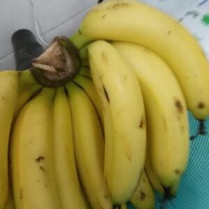 小粉