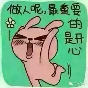 薰衣草