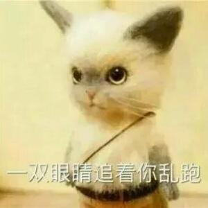 唔伊