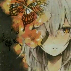 浅花