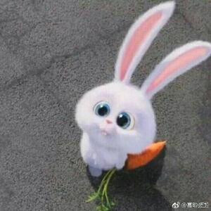 i652815253梦