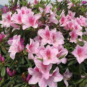 我的幸福在那里