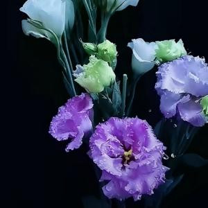 花钱项目