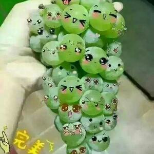 i325835809彬