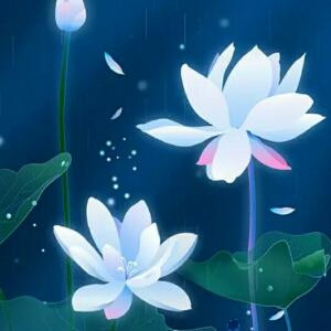 吴怡萱