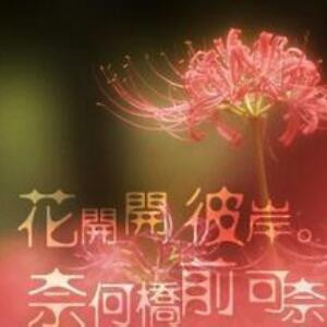 可怜有人爱