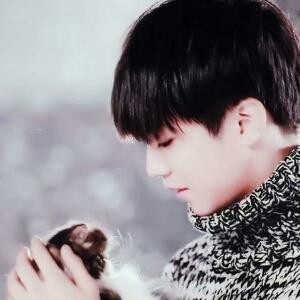 鹿晗凯梦