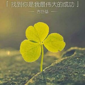 留言飞语