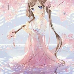白菜