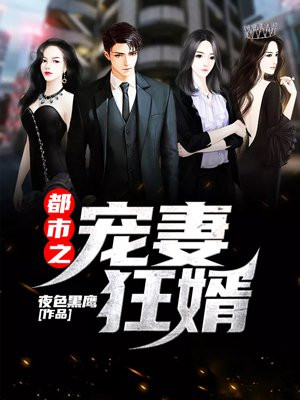 都市之宠妻狂婿