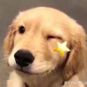 邵白
