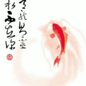 杨毅