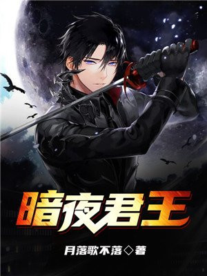 暗夜君王