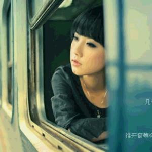 夏有森光若流苏