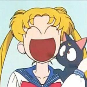 猫逗逗