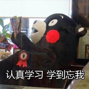 扶摇扶摇爱扶摇