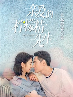 亲爱的柠檬精先生