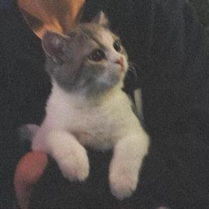 余生请你多指教