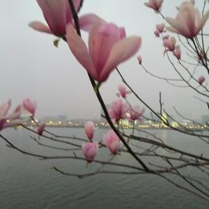 宽容是美